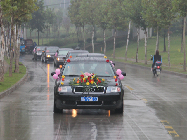 ��鵱��Ӱ��