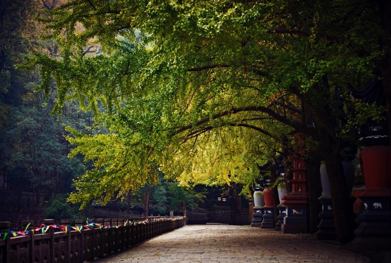 【转】宁波天童禅寺与阿育王寺